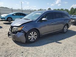 Salvage cars for sale at Lumberton, NC auction: 2016 Honda Odyssey EXL