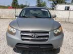 2007 Hyundai Santa FE SE