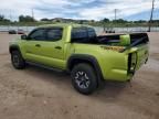 2023 Toyota Tacoma Double Cab