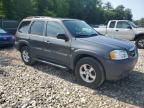 2006 Mazda Tribute I