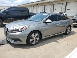 Salvage cars for sale at Louisville, KY auction: 2017 Hyundai Sonata Hybrid