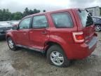 2011 Ford Escape XLS