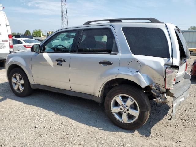 2009 Ford Escape XLT