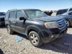 2009 Honda Pilot EXL