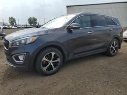 Salvage cars for sale from Copart Rocky View County, AB: 2017 KIA Sorento EX