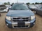 2010 Ford Escape Limited