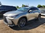 2024 Lexus NX 250 Base