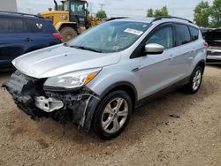 Salvage cars for sale at Elgin, IL auction: 2015 Ford Escape SE