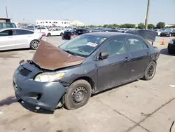 Salvage cars for sale at Grand Prairie, TX auction: 2010 Toyota Corolla Base