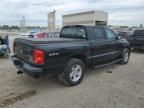 2010 Dodge Dakota SXT