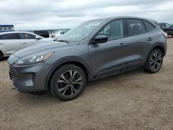 Salvage cars for sale at Greenwood, NE auction: 2022 Ford Escape SE