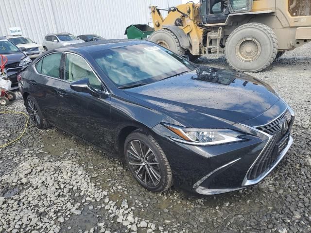 2024 Lexus ES 350 Base