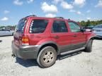 2006 Ford Escape XLT