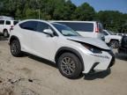 2020 Lexus NX 300H