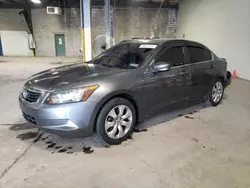 Salvage cars for sale from Copart Chalfont, PA: 2010 Honda Accord EX