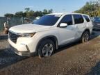 2024 Honda Pilot EXL