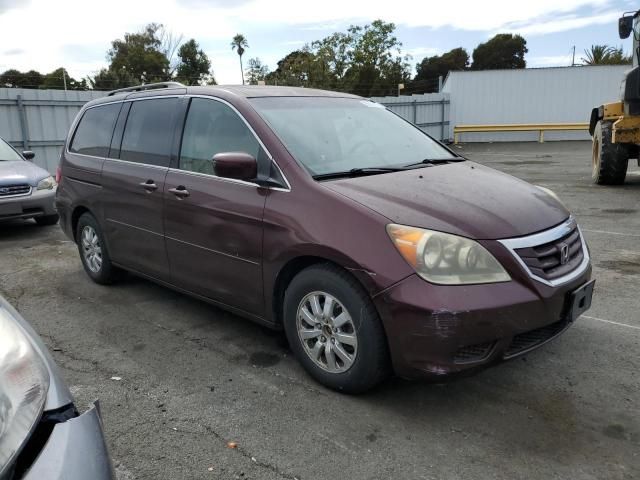 2010 Honda Odyssey EXL