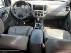 2005 Ford Escape XLT