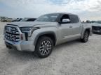 2023 Toyota Tundra Crewmax Platinum