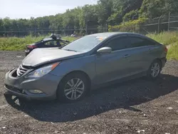 Salvage cars for sale at Baltimore, MD auction: 2013 Hyundai Sonata GLS