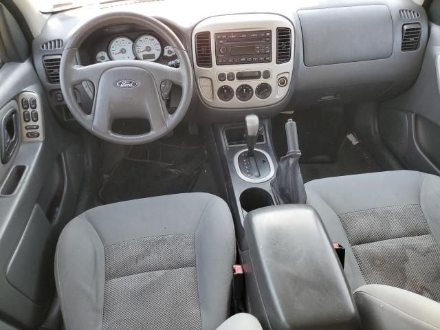 2007 Ford Escape XLT