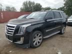 2015 Cadillac Escalade Luxury