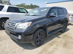 Salvage cars for sale at Spartanburg, SC auction: 2013 Lexus GX 460