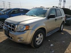 2010 Ford Escape XLT en venta en Elgin, IL