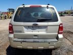 2011 Ford Escape XLS