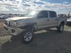 2005 Toyota Tacoma Double Cab Prerunner