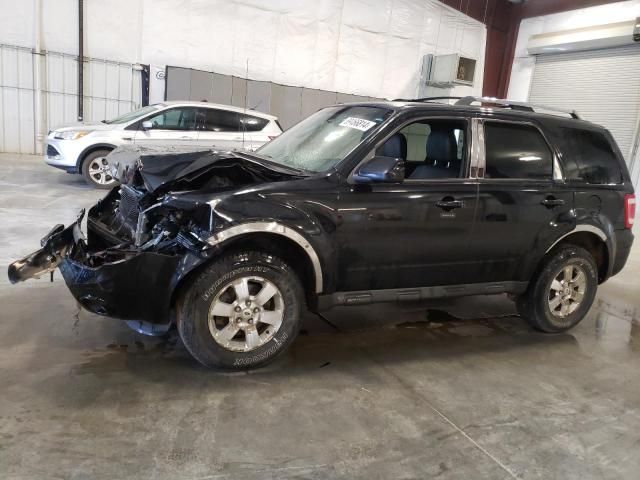 2010 Ford Escape Limited