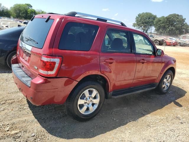 2011 Ford Escape Limited