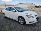 2008 Chevrolet Malibu 1LT