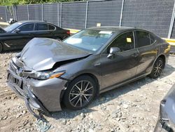 Toyota salvage cars for sale: 2021 Toyota Camry SE