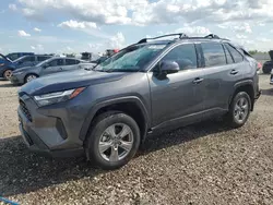 Toyota rav4 xle salvage cars for sale: 2023 Toyota Rav4 XLE