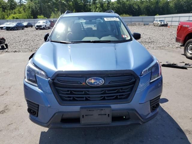 2024 Subaru Forester