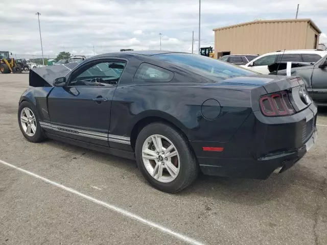 2014 Ford Mustang