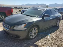 Salvage cars for sale at Magna, UT auction: 2013 Nissan Maxima S