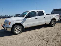 Salvage cars for sale from Copart Nisku, AB: 2014 Ford F150 Supercrew