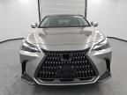 2024 Lexus NX 350H Base