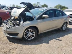 Ford salvage cars for sale: 2016 Ford Focus SE