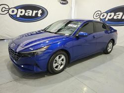 Salvage cars for sale at San Diego, CA auction: 2023 Hyundai Elantra SE