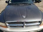 2002 Dodge Dakota Quad SLT