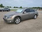 2004 Nissan Maxima SE