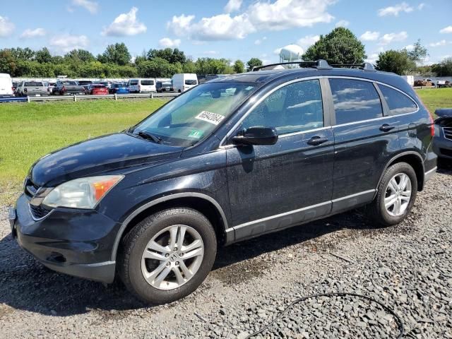 2010 Honda CR-V EXL