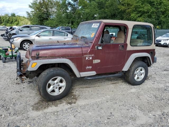 2002 Jeep Wrangler / TJ X