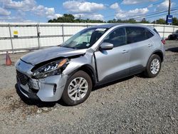 Ford Escape se salvage cars for sale: 2020 Ford Escape SE