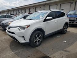 Toyota salvage cars for sale: 2016 Toyota Rav4 XLE