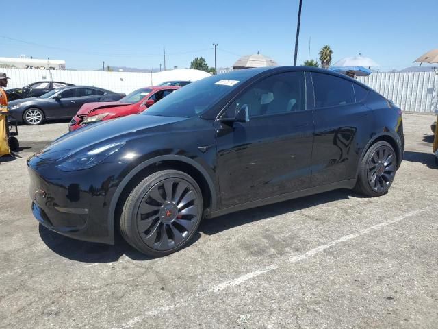 2024 Tesla Model Y