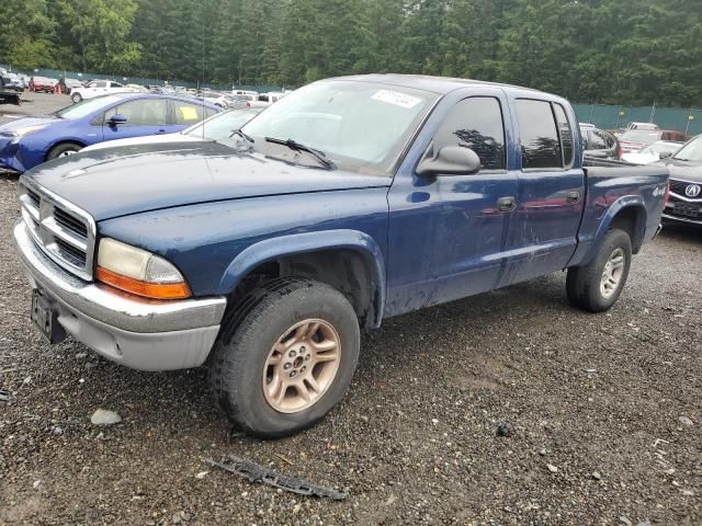 2003 Dodge Dakota Quad SLT